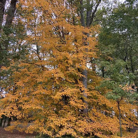 Сasa de vacaciones Maison De Macou 2 *