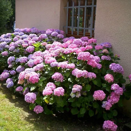 Maison De Macou 2 *