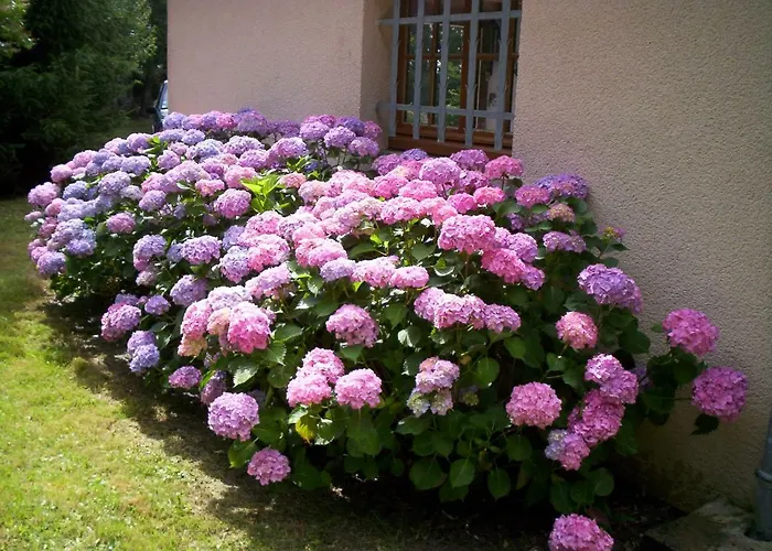 Maison De Vacance Macou 2 *